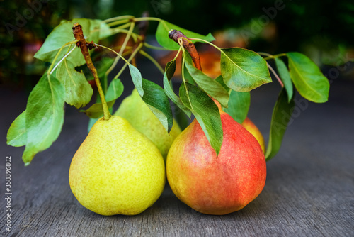 red and yellow pears with green leaves on a wooden table close-up