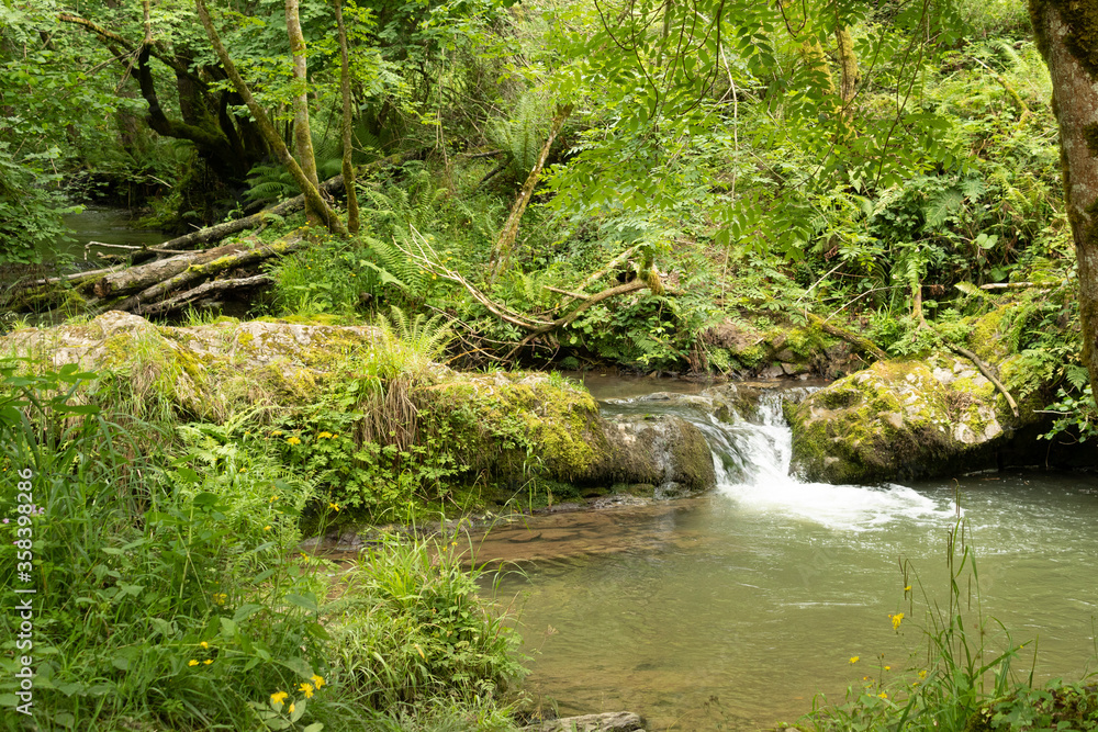 Cascada en rio Cascada en rio