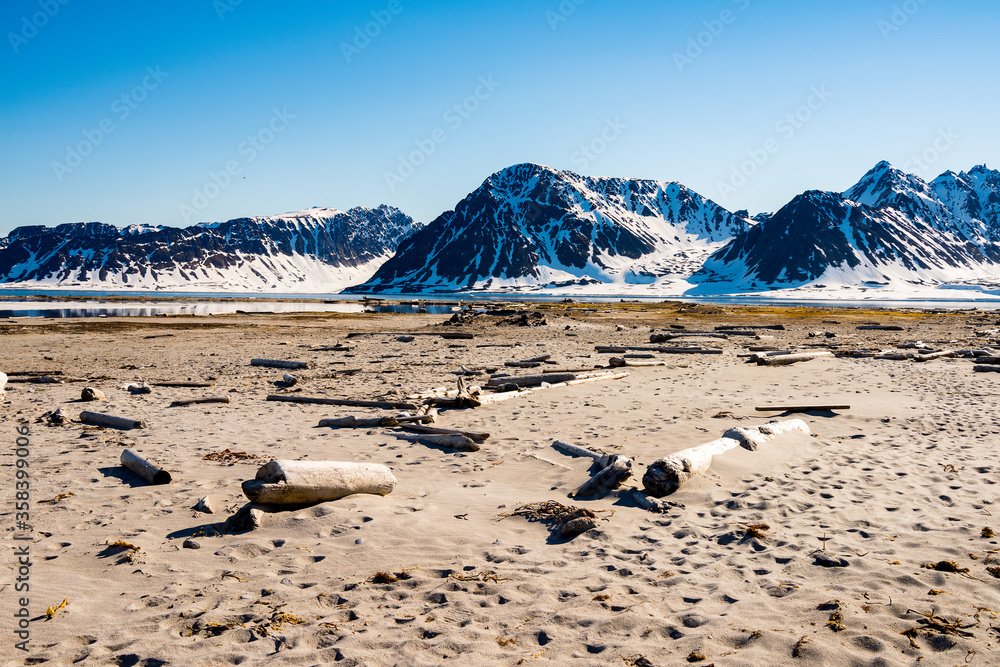 Coast of the Amsterdam Island, a small island near the West-Spitsbergen Coast of the Amsterdam Island, a small island near the West-Spitsbergen
