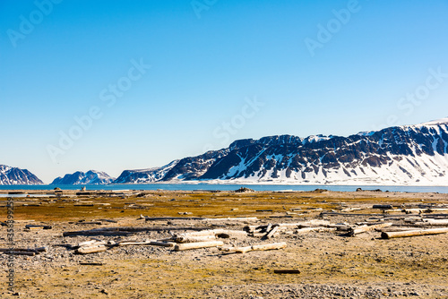 Beautiful landscape of the Amsterdam Island, a small island near the coast of West-Spitsbergen