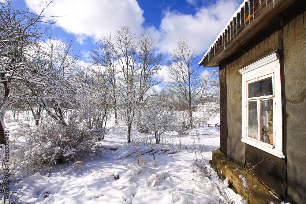 Winter nature details in countryside in East Europe. Winter nature details in countryside in East Europe.