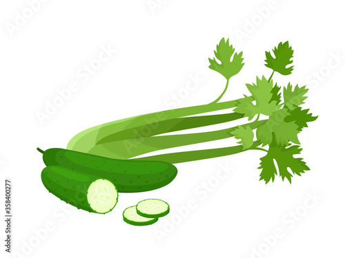 Bright vector set of colorful celery and cucumber.