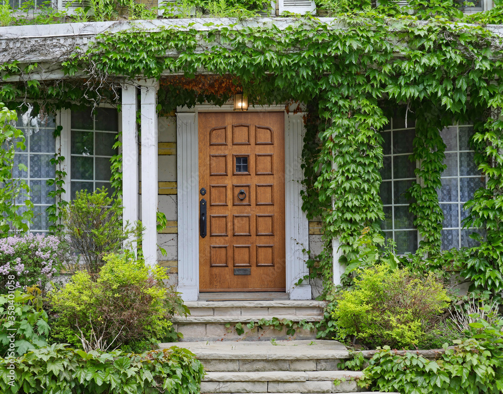 Elegant wooden front door of house surrounded by ivy