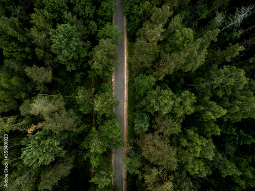 Asphalt road through the green forest. Summer landscape. Top view. Drone photo