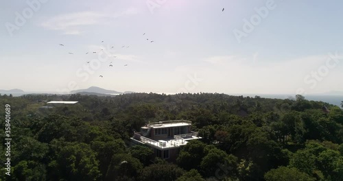 birds fly over the forest and the house. part of the house, the roofs of buildings are visible in the forest. away the village on the coast.