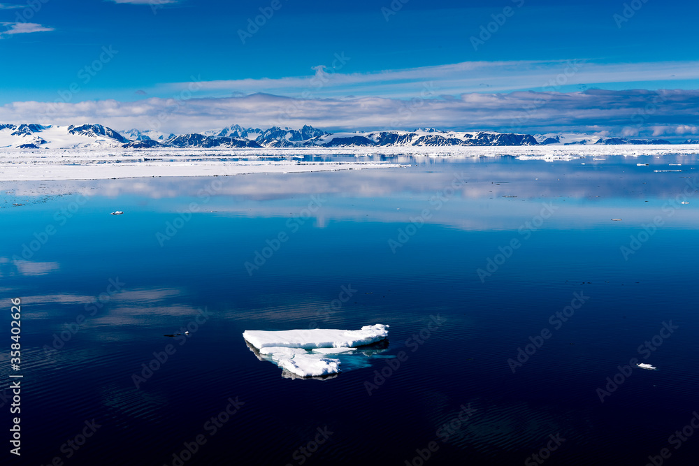 Naklejka premium Ice pieces on the water in Arctic