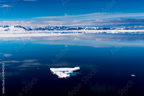Fototapeta Naklejka Na Ścianę i Meble -  Ice pieces on the water in Arctic