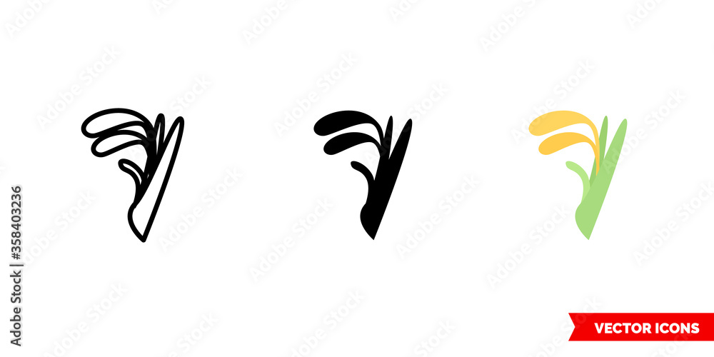 Rice icon of 3 types. Isolated vector sign symbol.