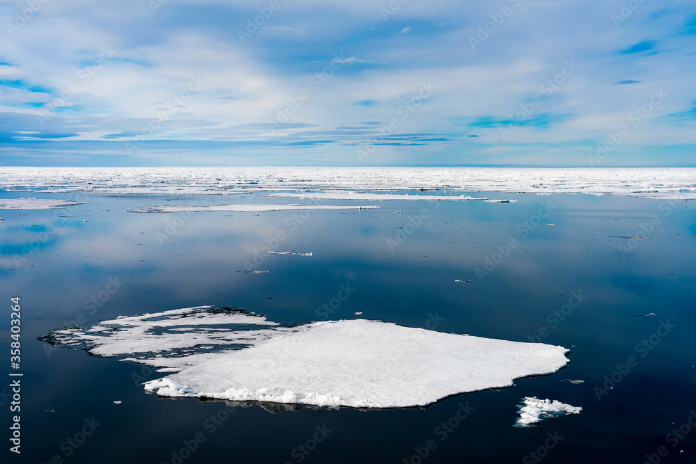 Fototapeta premium Ice pieces on the water in Arctic