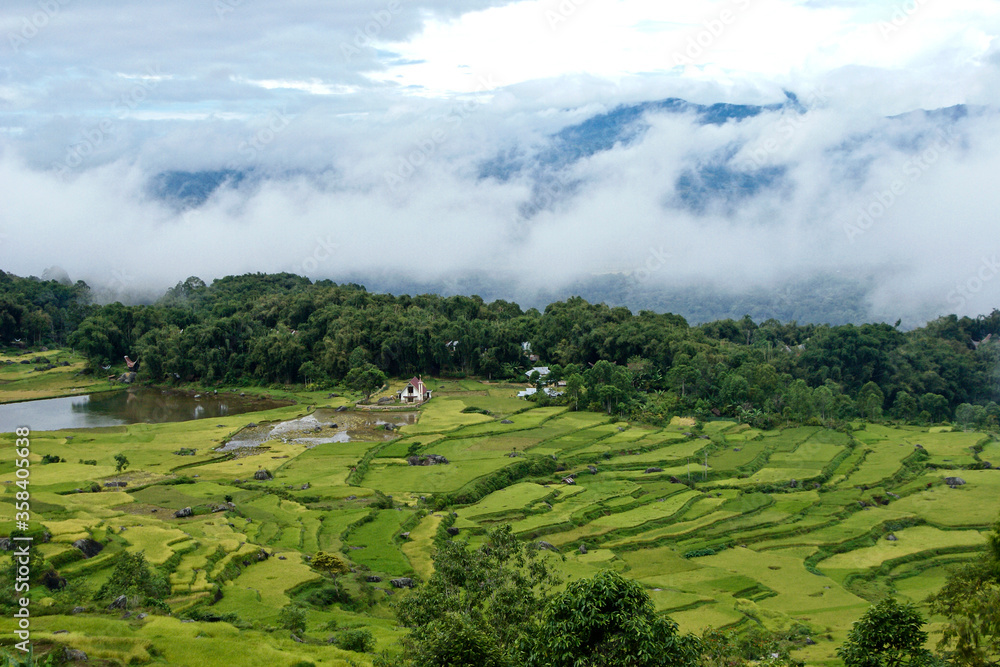 Rice terraces at Batutumonga, Tana Toraja, South Sulawesi, Indonesia