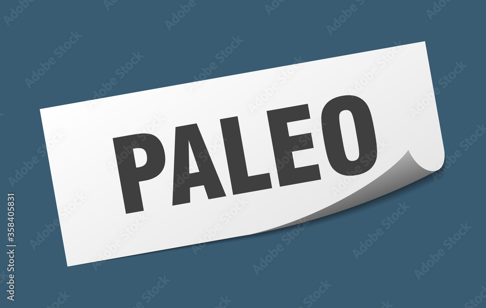 paleo sticker. paleo square isolated sign. paleo label paleo sticker. paleo square isolated sign. paleo label