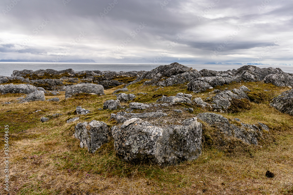 Stones and Nature of the Svalbard archipelago