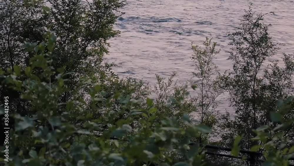 St Laurent River, Picnik Electronik - July 17, 2018 - Flowing water in the river with bees and insects flying around plants and leaves St Laurent River, Picnik Electronik - July 17, 2018 - Flowing water in the river with bees and insects flying around plants and leaves