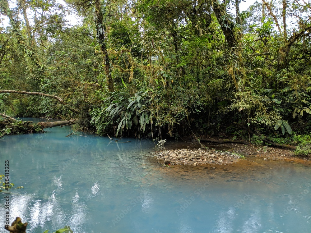 Obraz premium lake in the forest