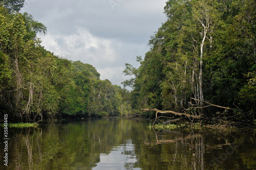 Sungai Menungal tributary of Kinabatangan River (Sungai Kinabatangan) near Sukau, Sabah (Borneo), Malaysia photo