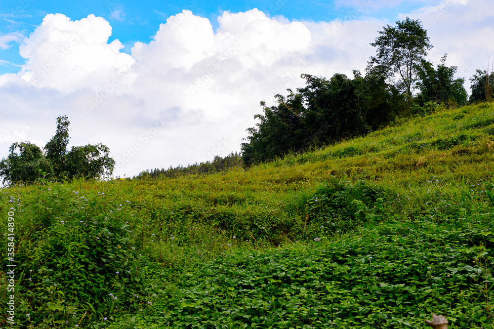 It's Natural landscape of the Northern Vietnam It's Natural landscape of the Northern Vietnam