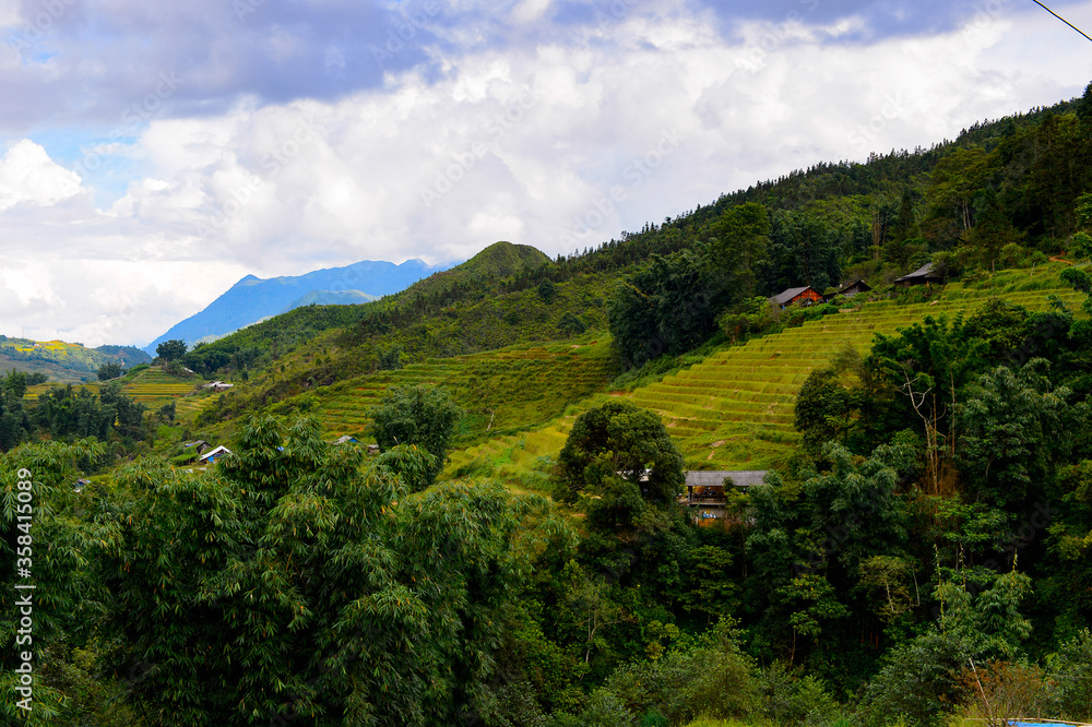 It's Nature of the green hills of Vietnam