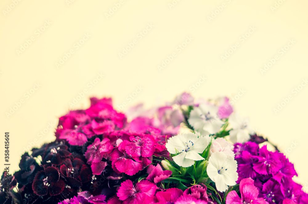 Fototapeta premium carnation bouquet on a light background. place for text