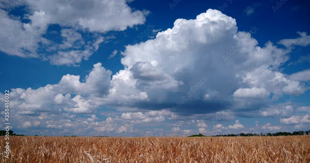Time-lapse White Clouds On Blue Sky Above Crop Field Time-lapse White Clouds On Blue Sky Above Crop Field