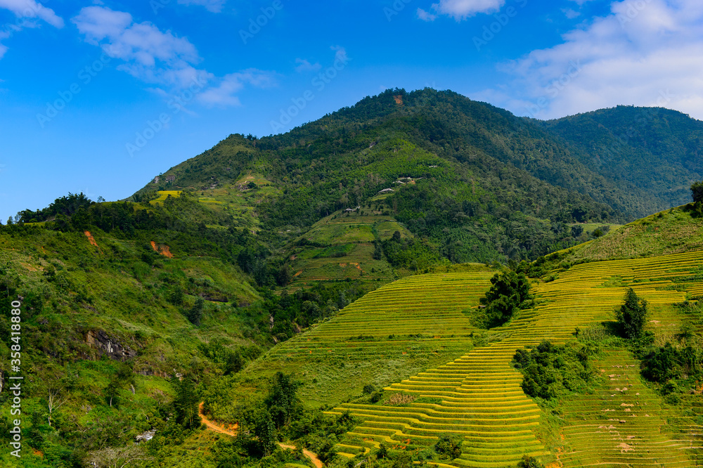 It's Nature landscape and rice terrace of Northern Vietnam