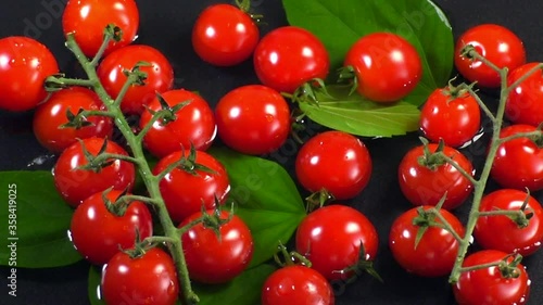 Top view of red cherry tomatoes in water on a dark background under water drops in slow motion.