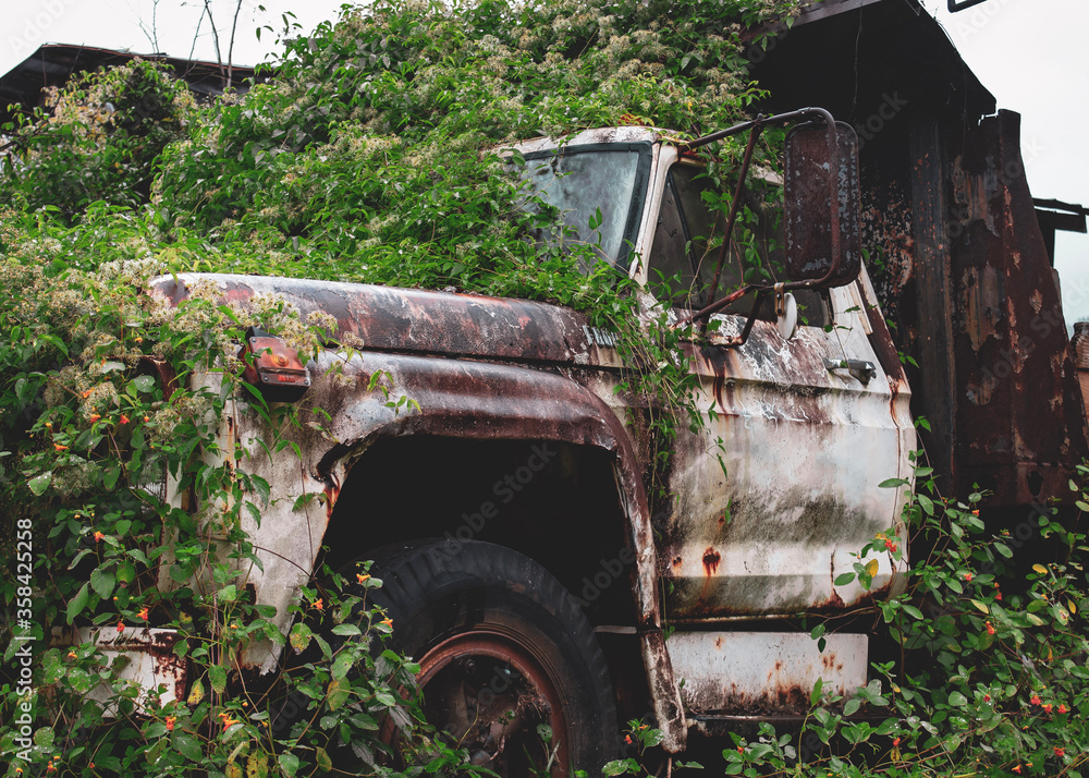 old abandoned truck in north Georgia covered in moss
