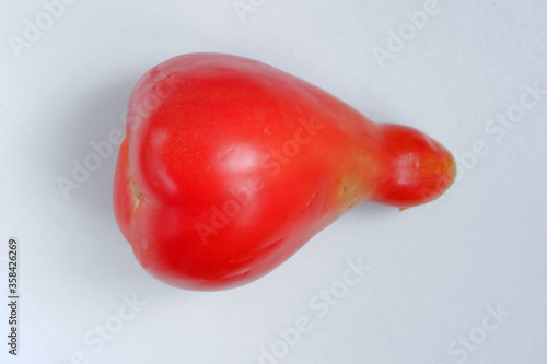 Top view of a pear-shaped red tomato on a light grey background photo