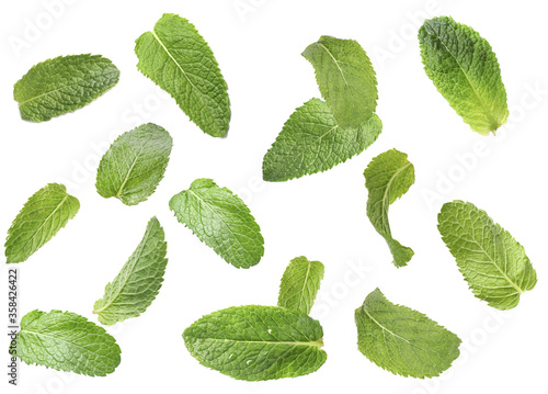 Set of flying green mint leaves on white background
