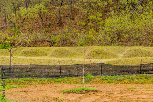 Four unmarked burial mounds