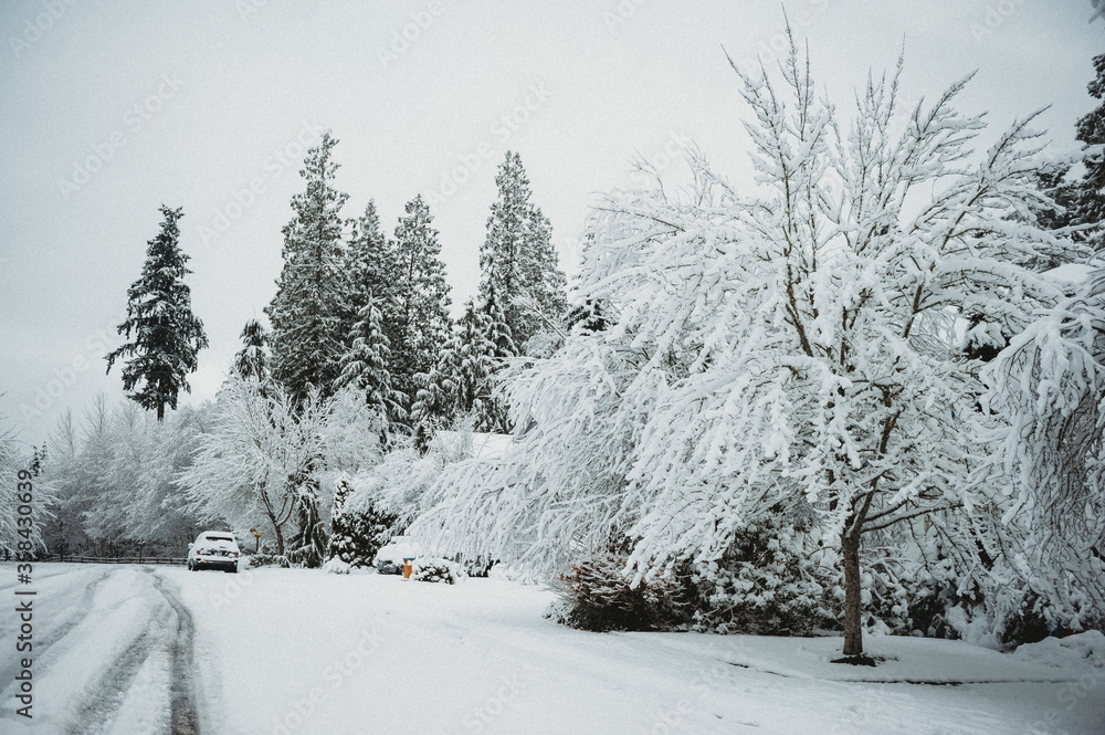 Snow day in WA, USA (February, 2020) Snow day in WA, USA (February, 2020)