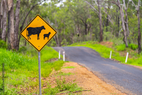 Asphalt country road with square cattle warning yellow sign in Kroombit Tops National Park, Queensland (Tableland Road)