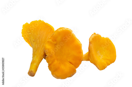 Bright orange chanterelle mushrooms on a white background