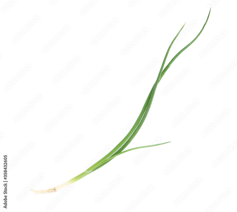 Fresh green spring onion isolated on white Fresh green spring onion isolated on white