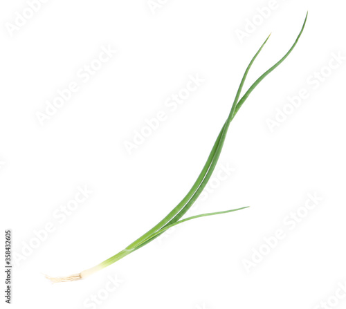 Fresh green spring onion isolated on white