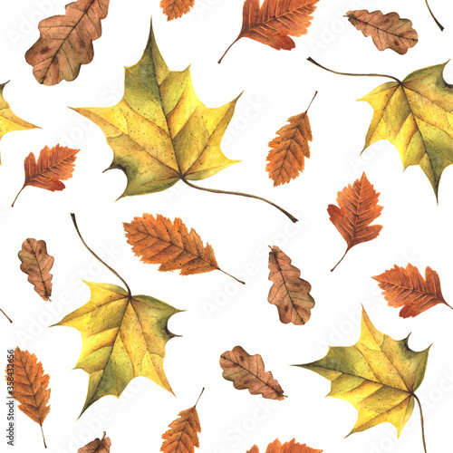 Watercolor autumn seamless pattern of multicolor leaves. Fall season floral fashion collection. Hand drawn illustration for design wallpaper  invitations  home decor  print on fabric.