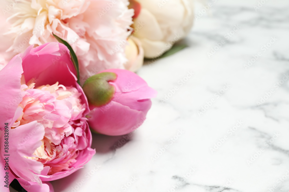 Beautiful peonies on white marble background, closeup. Space for text Beautiful peonies on white marble background, closeup. Space for text