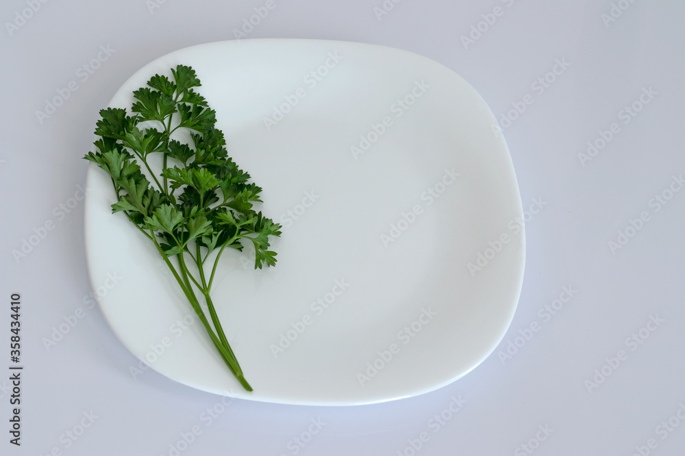 Plato Cena Saludable, Estilo de vida Verde, Light. Plato Cena Saludable, Estilo de vida Verde, Light.