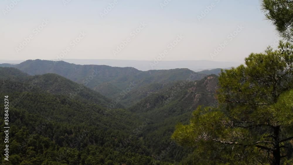 Scenic landscape of nature with mountain ranges and coniferous tree forests on sunny day, static Scenic landscape of nature with mountain ranges and coniferous tree forests on sunny day, static