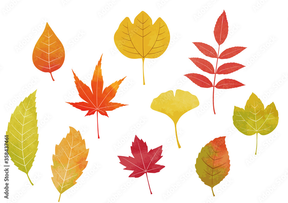 Obraz premium 水彩の落ち葉セット