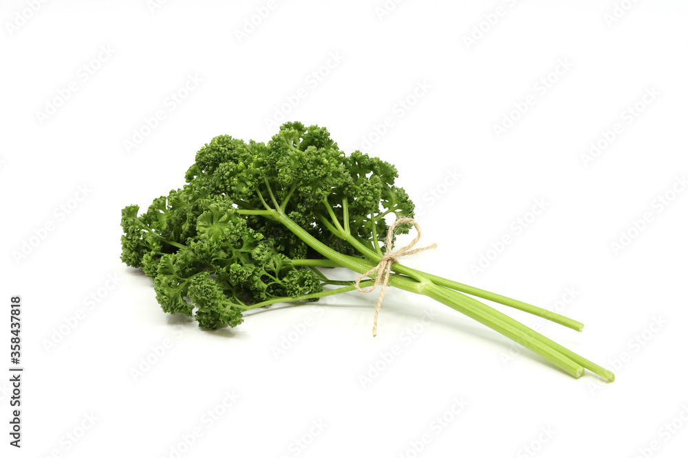 parsley isolated in white background parsley isolated in white background