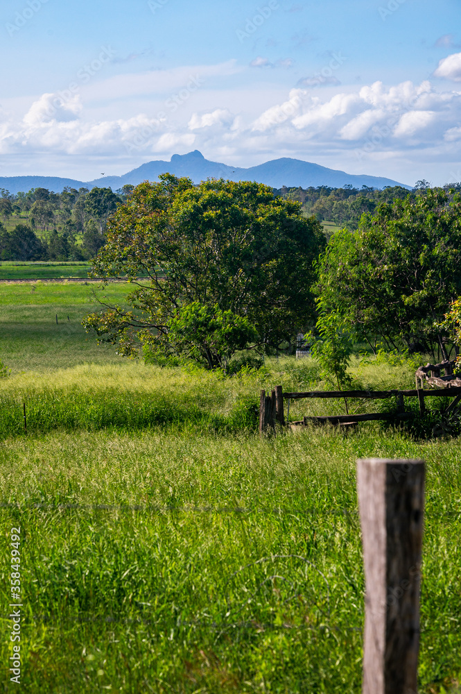 beautiful view of queensland countryside with vibrant green grass and trees. In Calliope, with Mount Larcom in the background.