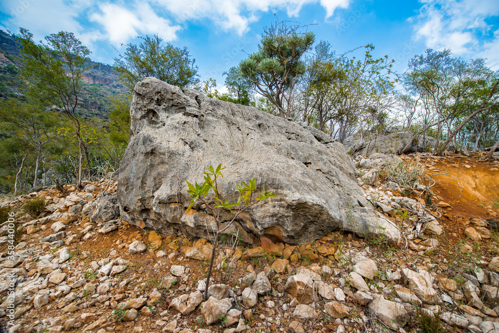 It's Nature of Socotra Island, Yemen. UNESCO World Natural Heritage. Small archipelago of four islands in the Indian Ocean It's Nature of Socotra Island, Yemen. UNESCO World Natural Heritage. Small archipelago of four islands in the Indian Ocean