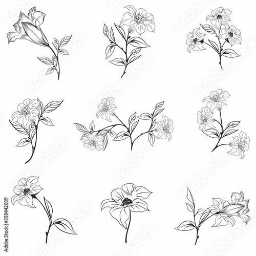 Collection of elegant vector rustic flowers for design