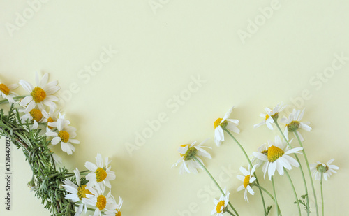 A bouquet of field daisies with a wreath on a light background, close-up, place for the inscription-the concept of a joyful floral summer. © MARYIA