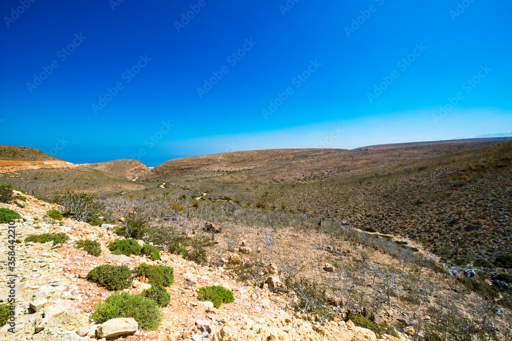 It's Nature of the Socotra Archipelago, Yemen