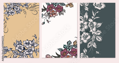 Set of card with elegant flowers, leaves. Wedding vintage concept. Floral pos...