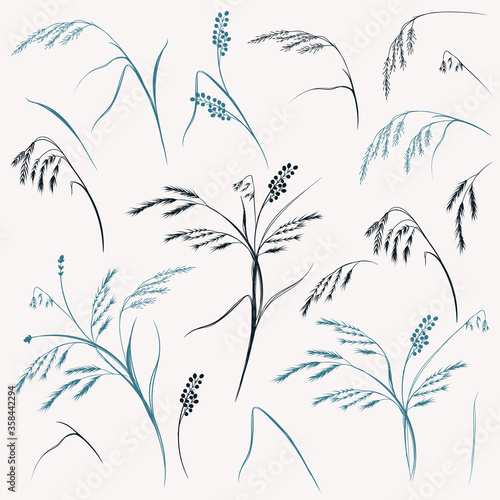 Set of vector elegant field glass, plants for design