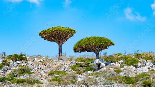 It's Beautiful nature of the Socotra Island, Yemen
