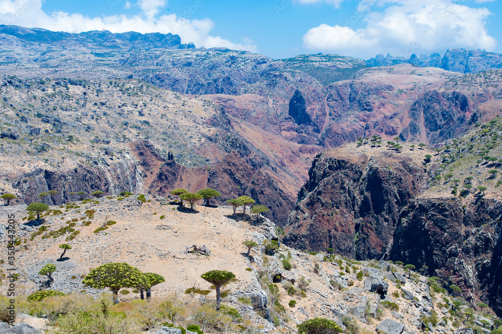 It's Rocks of the Socotra Island in Yemen. Socotra Archipelago is a UNESCO World Heritage
