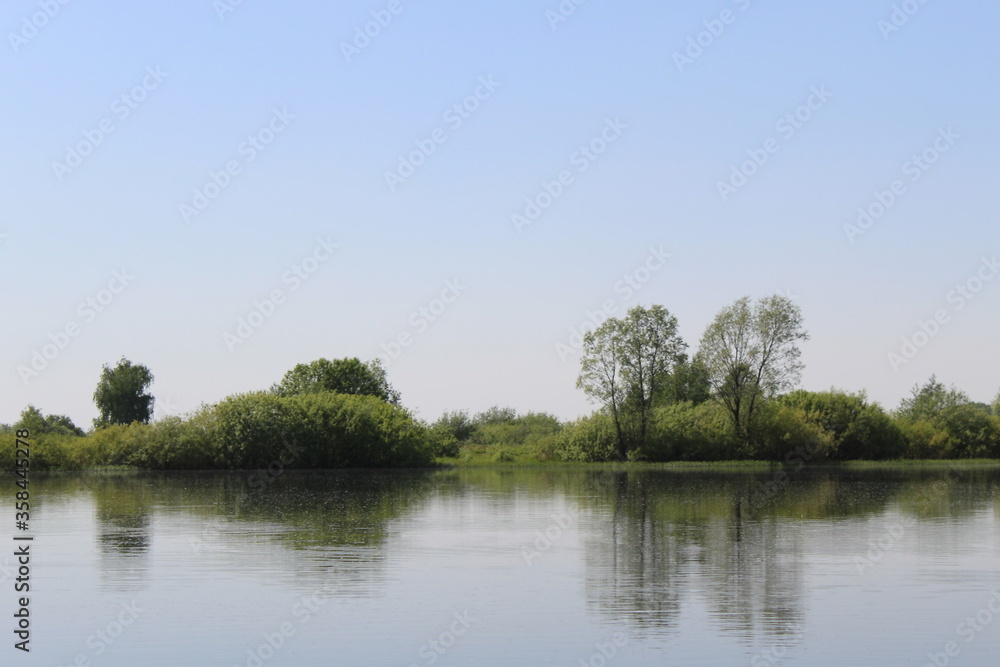 Obraz premium Nature near a lake with trees and a clear day